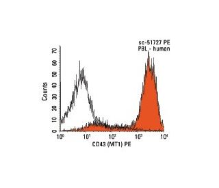 CD43 Antibody (MT1) | SCBT - Santa Cruz Biotechnology