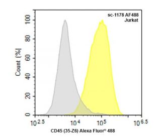 CD45 Antibody (35-Z6) | SCBT - Santa Cruz Biotechnology