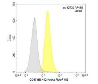 CD47 Antibody (B6H12)