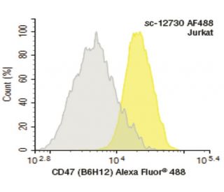 CD47 Antibody (B6H12)