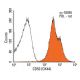 CD53 Antibody (OX44) - Flow Cytometry - Image 13773