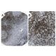 CD6 Antibody (UMCD6/3F7B5) - Immunohistochemistry - Image 37552 