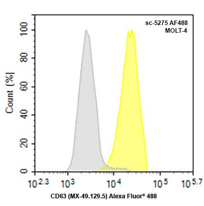 CD63 Antibody MX 49.129.5 SCBT Santa Cruz Biotechnology