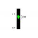 Este anticuerpo policlonal ha dejado de fabricarse. Consulta nuestro anticuerpo monoclonal recomendado <a href="cd64-antibody-10-1">CD64 (10.1)</a> (se muestran datos de muestra). western blotting image from recommended CD64 (10.1) monoclonal antibody replacement. Image 381599