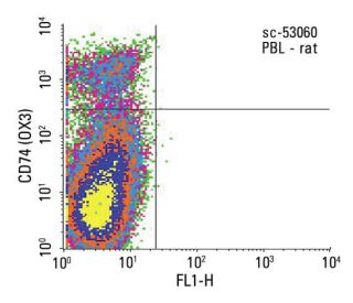 CD74 Antibody (OX3) - Flow Cytometry - Image 13777