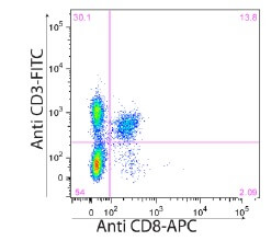 CD8-α Antibody (53-6.7) | SCBT - Santa Cruz Biotechnology