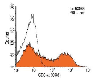 CD8-α Antibody (OX8) | SCBT - Santa Cruz Biotechnology
