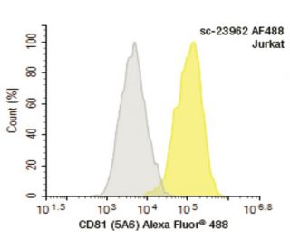 CD81 Antibody (5A6) | SCBT - Santa Cruz Biotechnology