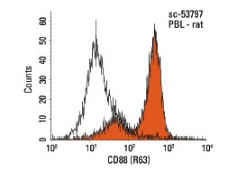 Anti-CD88 Antibody (R63) | SCBT - Santa Cruz Biotechnology
