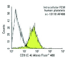CD9 Antibody (C-4) | SCBT - Santa Cruz Biotechnology