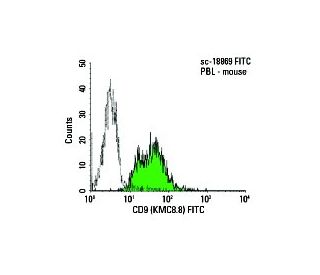CD9 Antibody (KMC8.8) | SCBT - Santa Cruz Biotechnology