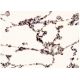 Cdc4 Antibody (3D1) - Immunohistochemistry - Image 351779 