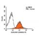 CEACAM1 Antibody (GM8G5) - Flow Cytometry - Image 14479