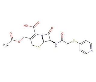 Cephapirin | CAS 21593-23-7 | SCBT - Santa Cruz Biotechnology