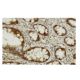 CES2 Antibody (G5) - Immunohistochemistry - Image 36120