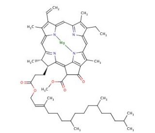Chlorophyll a (CAS 479-61-8) - chemical structure image