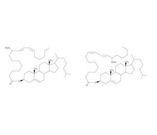 Cholesteryl Linoleate Hydroperoxides - chemical structure image