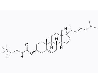 Cholesteryl N-(trimethylammonioethyl)carbamate chloride (CAS 188022-80-2) - chemical structure image