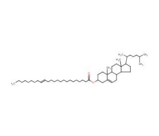 Cholesteryl nervonate (CAS 60758-73-8) - chemical structure image