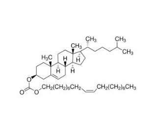 Cholesteryl oleyl carbonate CAS 17110519 SCBT Santa Cruz