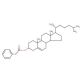 Cholesteryl phenylacetate (CAS 33998-26-4) - chemical structure image