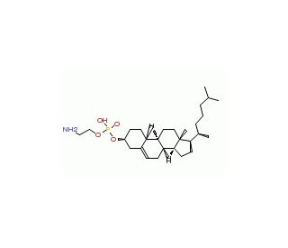 Cholesteryl-phosphorylethanolamine - chemical structure image