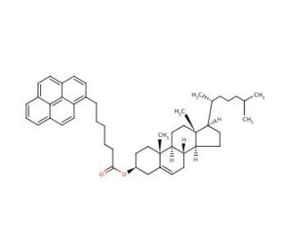Cholesteryl (pyren-1-yl)hexanoate (CAS 96886-70-3) - chemical structure image
