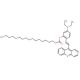 Chromoionophore XIV (CAS 251109-61-2) - chemical structure image