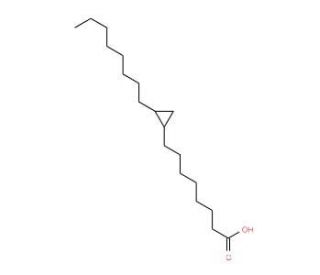 cis-9,10-Methyleneoctadecanoic Acid (CAS 4675-61-0) - chemical structure image