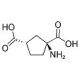 cis-ACPD (CAS 39026-63-6) - chemical structure image