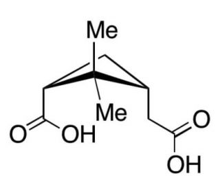 cis-Pinic acid (CAS 61774-58-1) - chemical structure image
