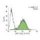 flow cytometry image from recommended CKR-7 (ELC-Fc) monoclonal antibody replacement. Image 143740