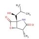 clasto-Lactacystin β-Lactone (CAS 154226-60-5) - chemical structure image