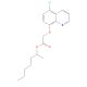 Cloquintocet-Mexyl 的分子结构, CAS编号: 99607-70-2 Cloquintocet-Mexyl (CAS 99607-70-2) - chemical structure image