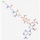 Coenzyme A (CAS 85-61-0 (anhydrous)) - chemical structure image