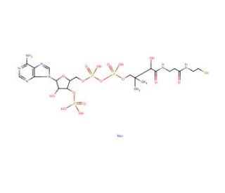 Coenzyme A sodium salt (CAS 55672-92-9) - chemical structure image