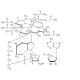 Coenzyme B12 (CAS 13870-90-1) - chemical structure image