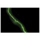 COL7A1 Antibody (4D2) - Immunofluorescence - Image 12158 