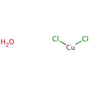 FastGene™フィルターチップ（10 µL、20 µL、200 µL、1000 µL