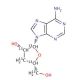 Cordycepin-13C5 - chemical structure image