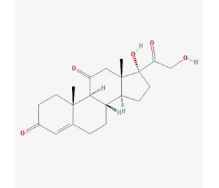 Cortisone (CAS 53-06-5) - chemical structure image