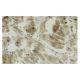 COX17 Antibody (F14) - Immunohistochemistry - Image 36057 