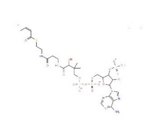 Crotonoyl coenzyme A trilithium salt (CAS 102680-35-3) - chemical structure image