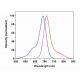 CruzFluor™ 700 succinimidyl ester: sc-362622