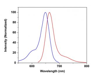 CruzFluor sm&trade; 5 maleimide: sc-362600