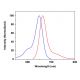 CruzFluor sm™ 5 succinimidyl ester: sc-362602 