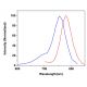 CruzFluor sm™ 7 azide : sc-394023
