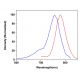 CruzFluor sm™ 7 maleimide: sc-362609