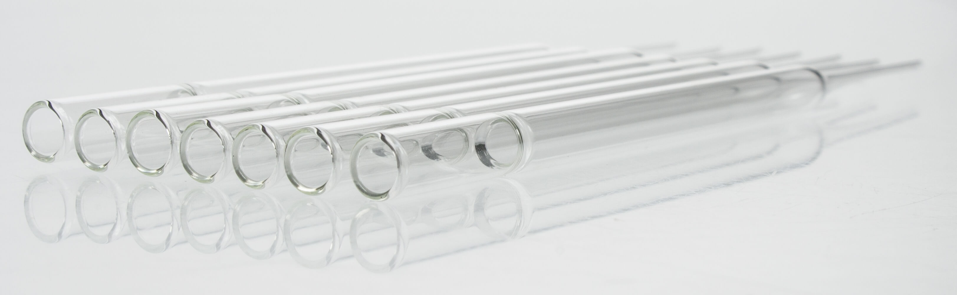 CrystalCruz™ Pasteur Pipettes, Disposable, glass SCBT Santa Cruz