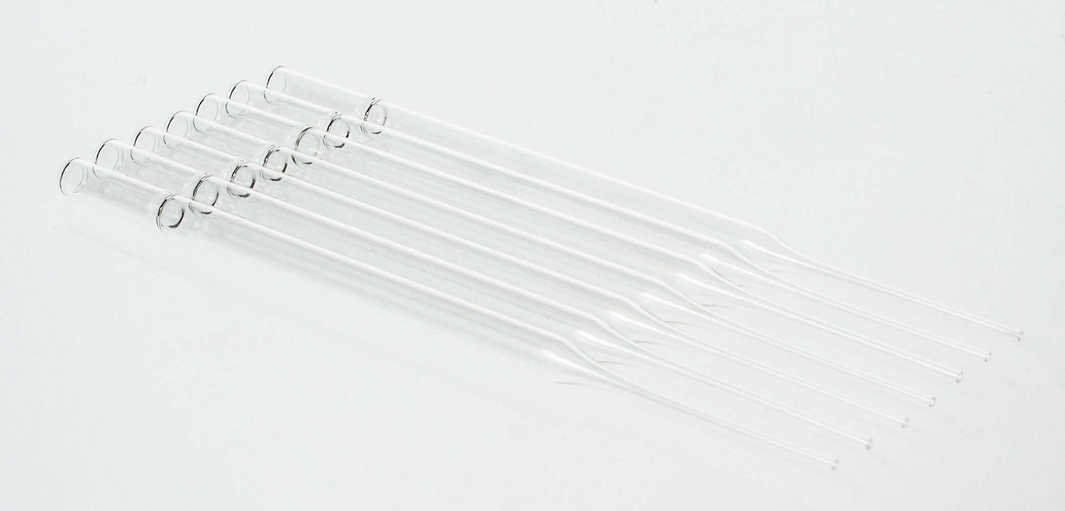 CrystalCruz™ Pasteur Pipettes, Disposable, glass SCBT Santa Cruz